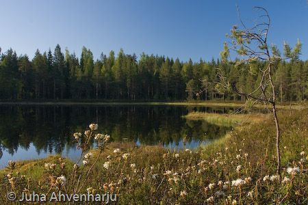 Juha Ahvenharju Photography