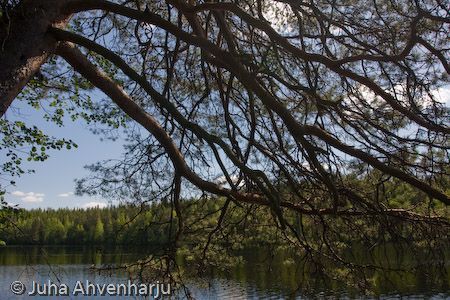 Juha Ahvenharju Photography