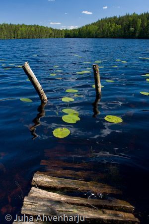 Juha Ahvenharju Photography