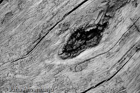 Juha Ahvenharju Photography