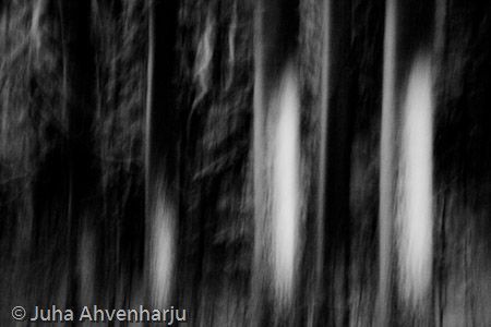 Juha Ahvenharju Photography