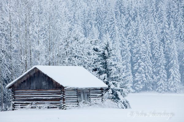 Juha Ahvenharju Photography