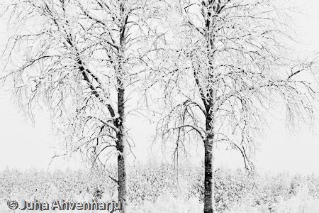 Juha Ahvenharju Photography