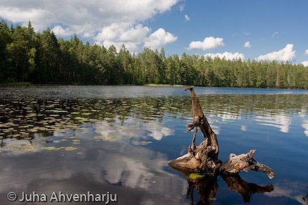 Juha Ahvenharju Photography