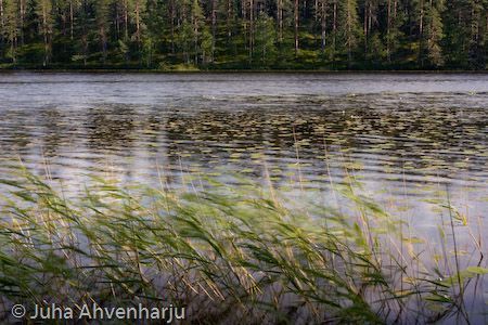 Juha Ahvenharju Photography