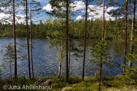 Juha Ahvenharju Photography