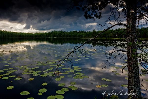 Juha Ahvenharju Photography