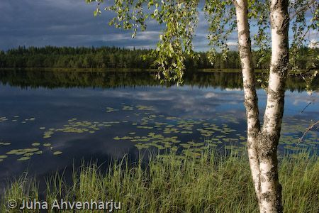 Juha Ahvenharju Photography