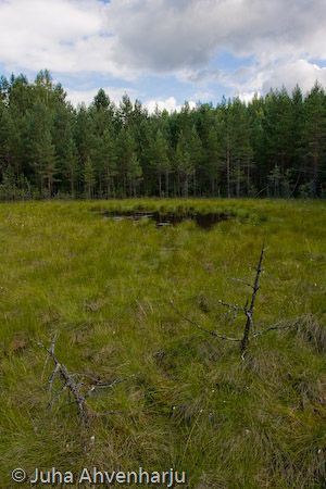 Juha Ahvenharju Photography