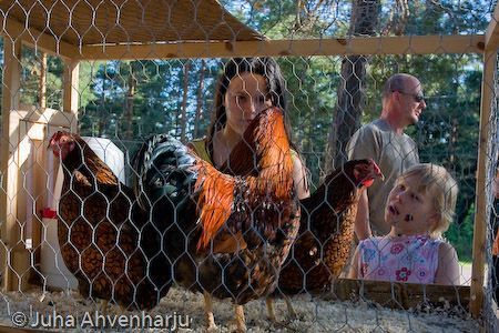 Juha Ahvenharju Photography