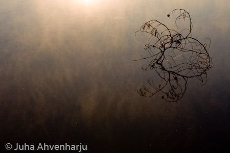 Juha Ahvenharju Photography