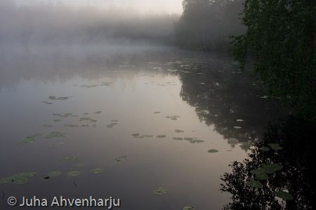 Juha Ahvenharju Photography