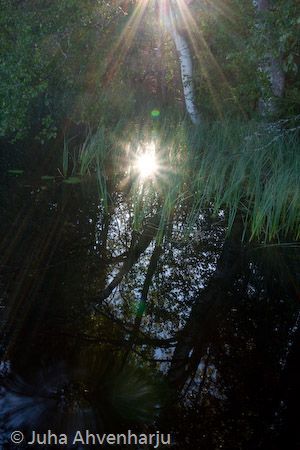 Juha Ahvenharju Photography