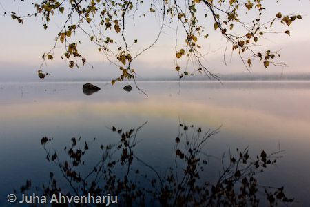 Juha Ahvenharju Photography