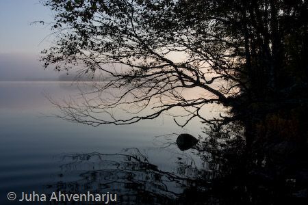 Juha Ahvenharju Photography