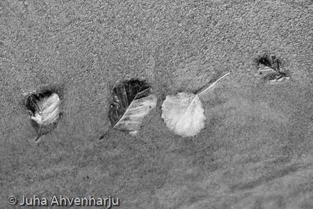 Juha Ahvenharju Photography