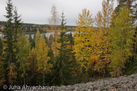 Juha Ahvenharju Photography