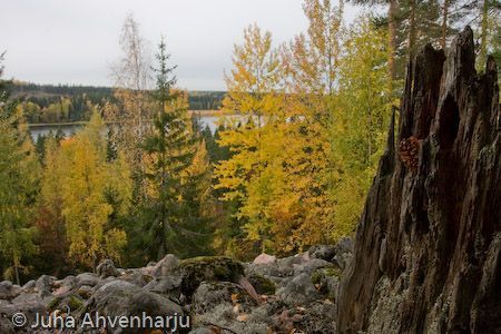 Juha Ahvenharju Photography