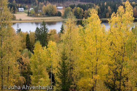 Juha Ahvenharju Photography