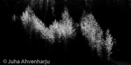 Juha Ahvenharju Photography