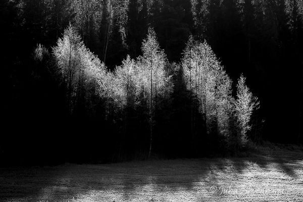 Juha Ahvenharju Photography