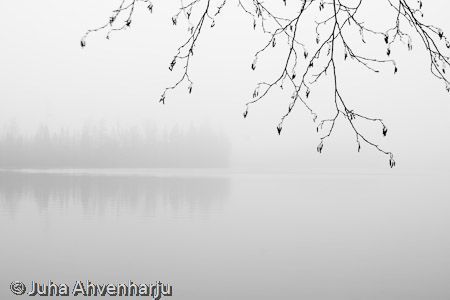 Juha Ahvenharju Photography