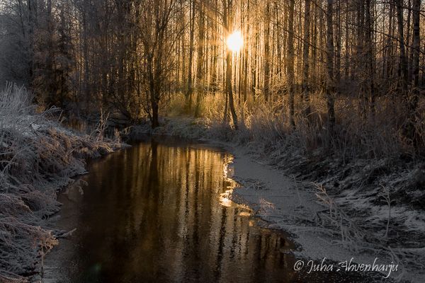 Juha Ahvenharju Photography