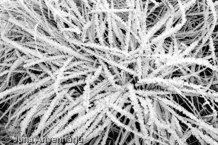 Juha Ahvenharju Photography