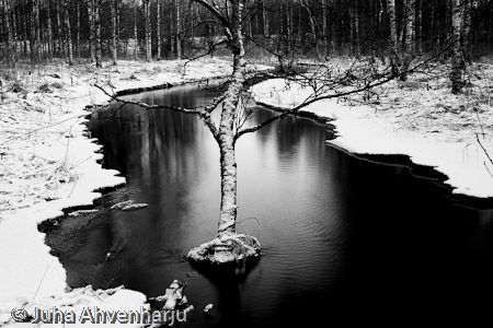 Juha Ahvenharju Photography