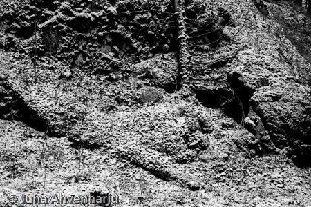 Juha Ahvenharju Photography