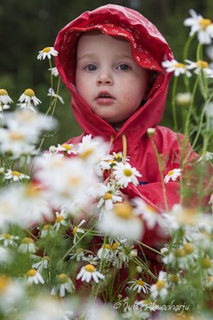 Juha Ahvenharju Photography