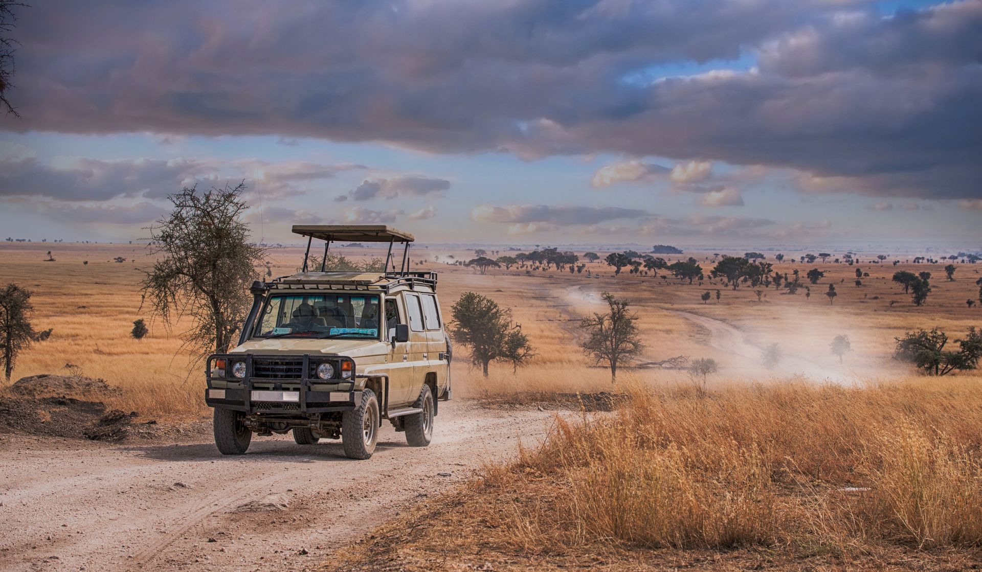 AFRICA