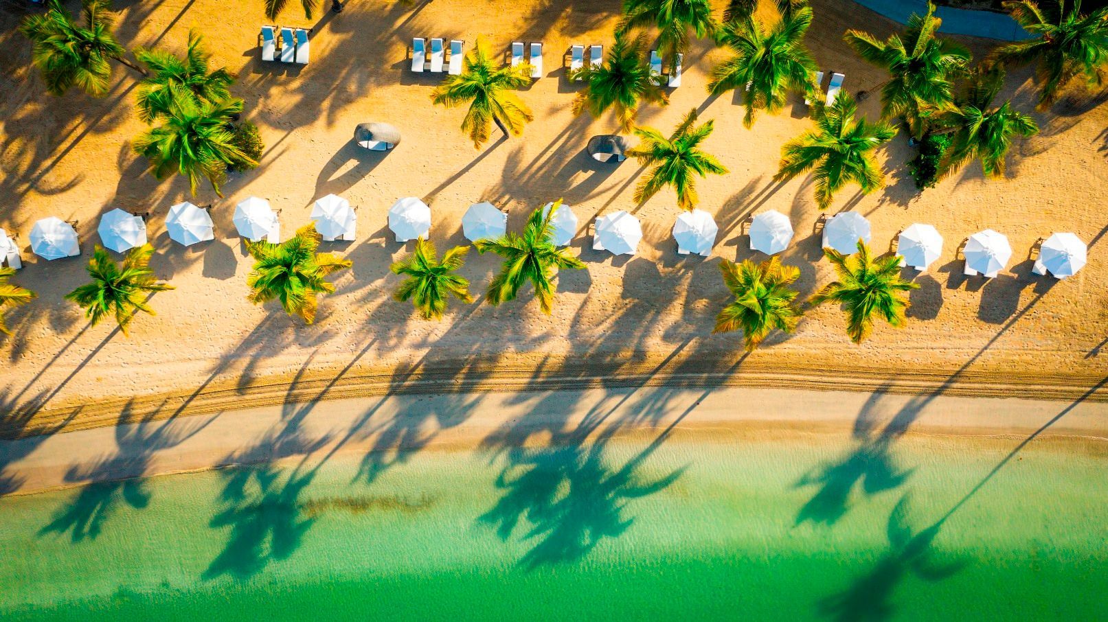 Aerial view of a sunny beach with palm trees casting shadows on the sand next to white umbrellas and turquoise water.