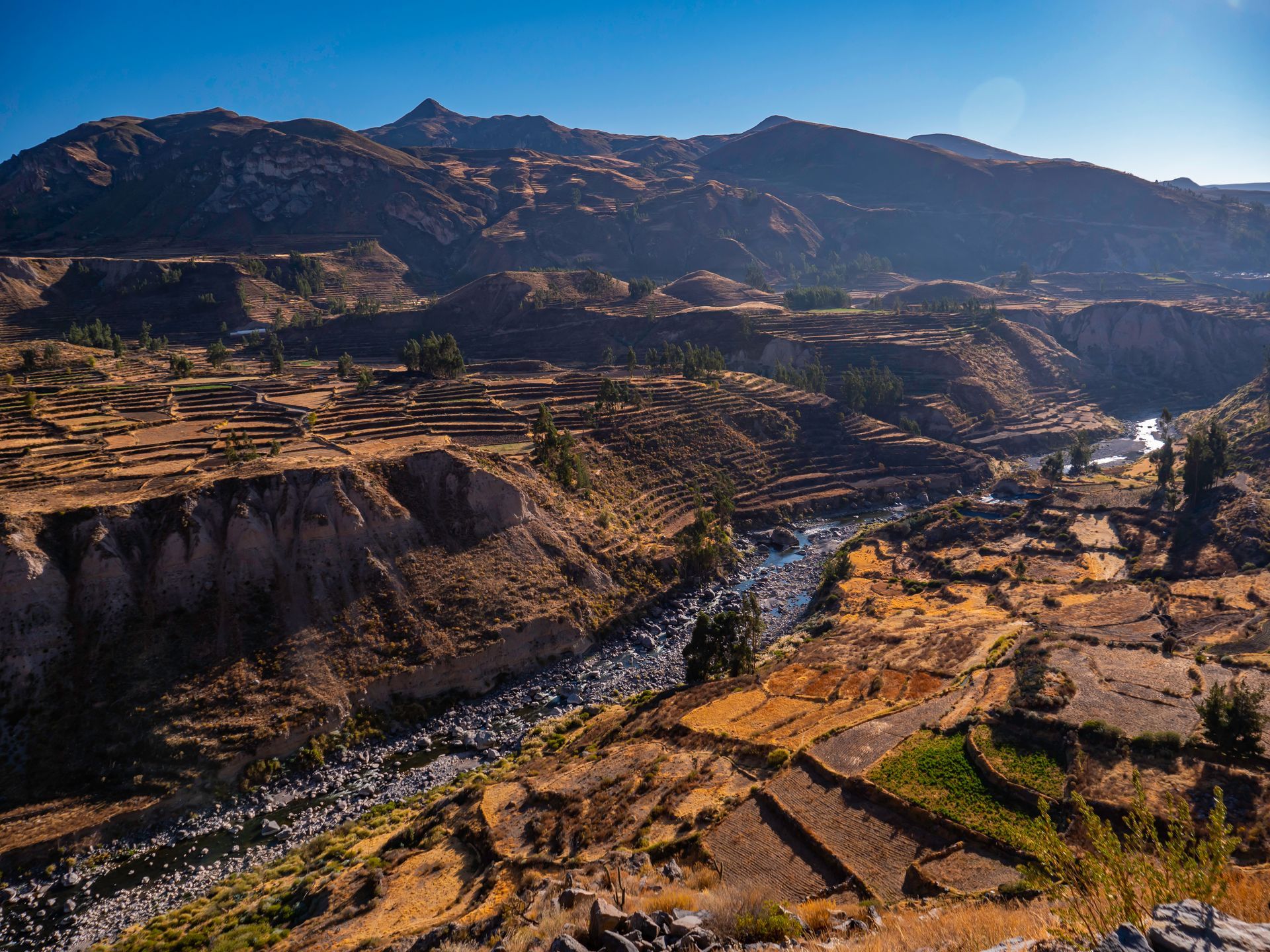 Canyon landscape with river, terraced fields, and mountains under a blue sky.