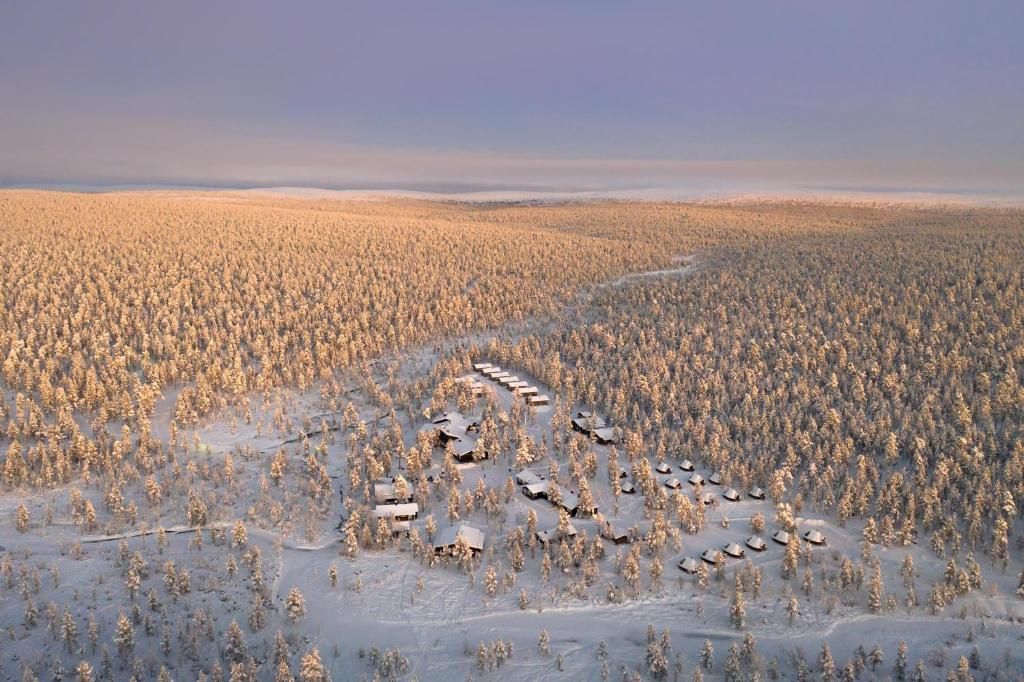 Snow-covered forest with small buildings nestled within, illuminated by golden sunlight.
