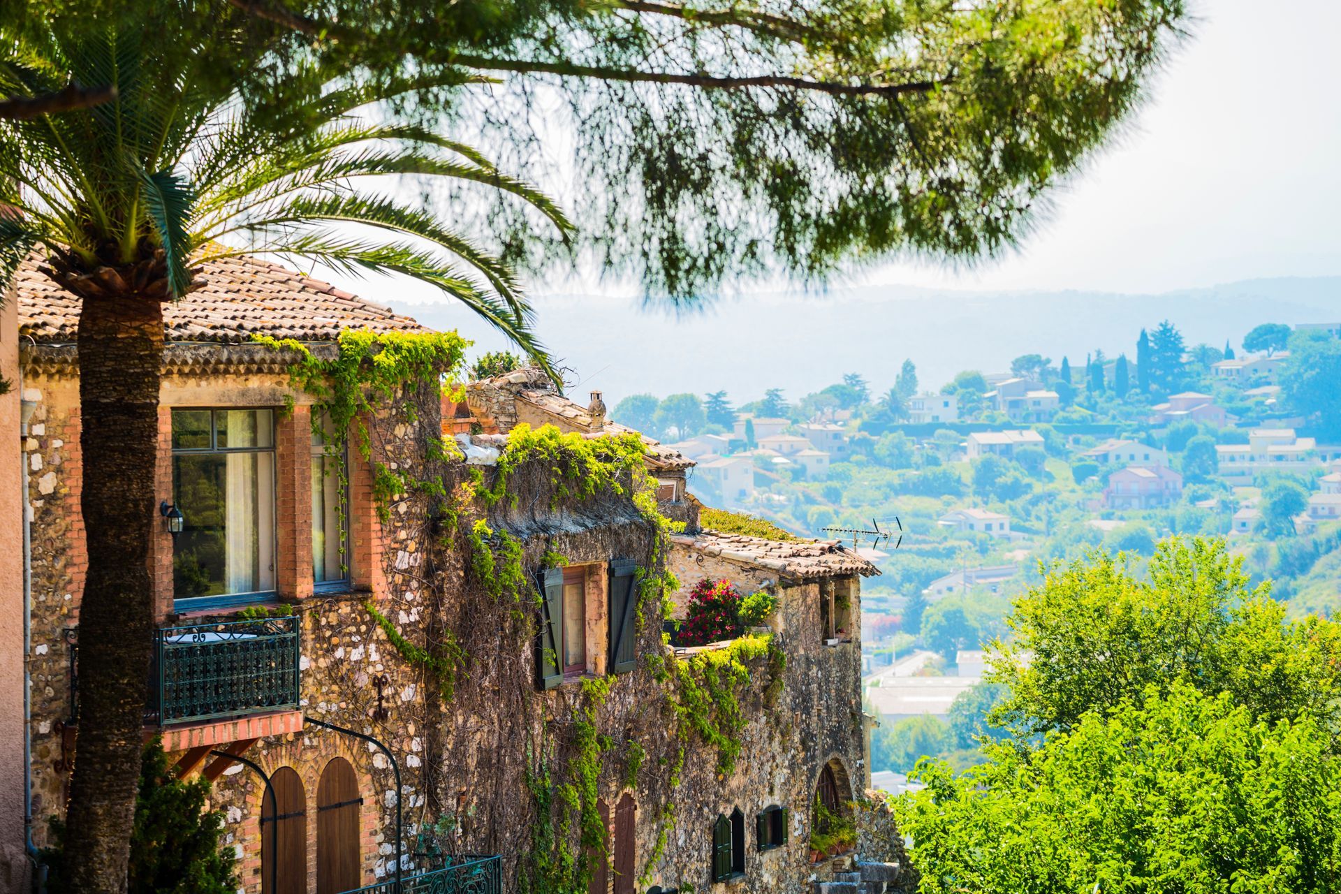 Stone building with vine-covered walls, palm tree, and distant town on a sunny hillside.