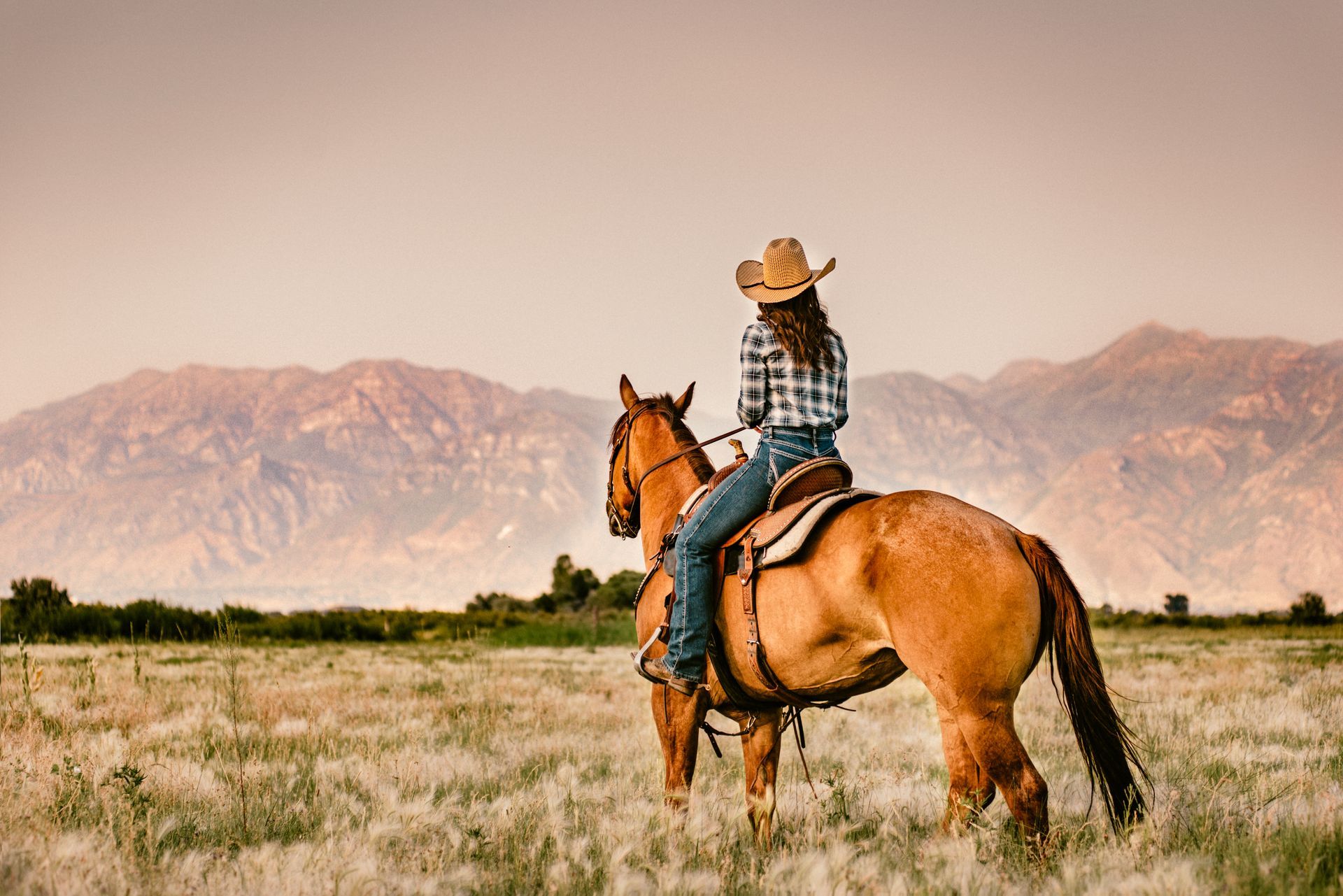 Cowgirl on horseback in field with mountain backdrop.