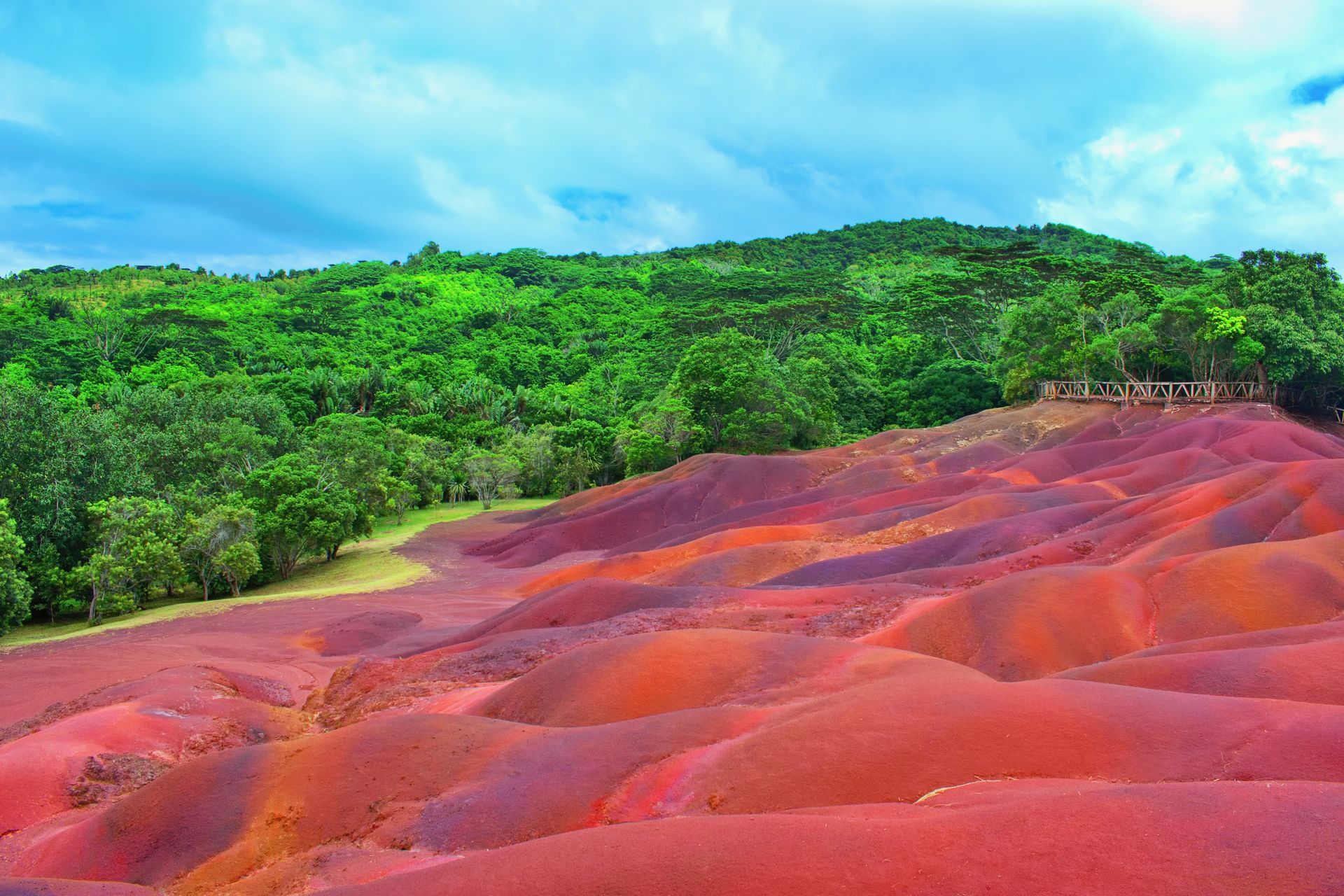 Colorful sand dunes in shades of red, brown, and purple with lush green forest in the background.