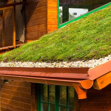 Extensive Begrünung