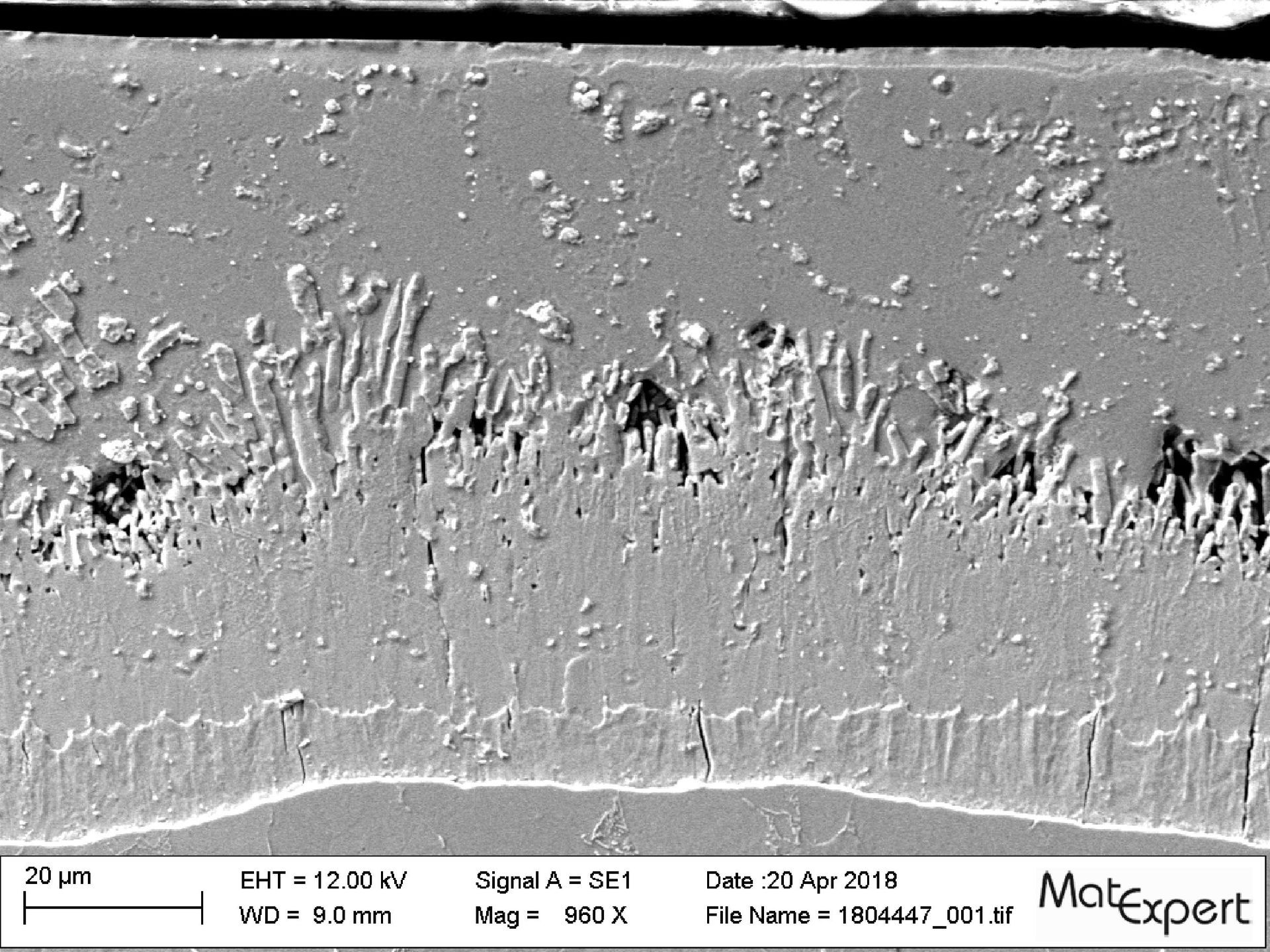 Materialographie - MatExpert GmbH