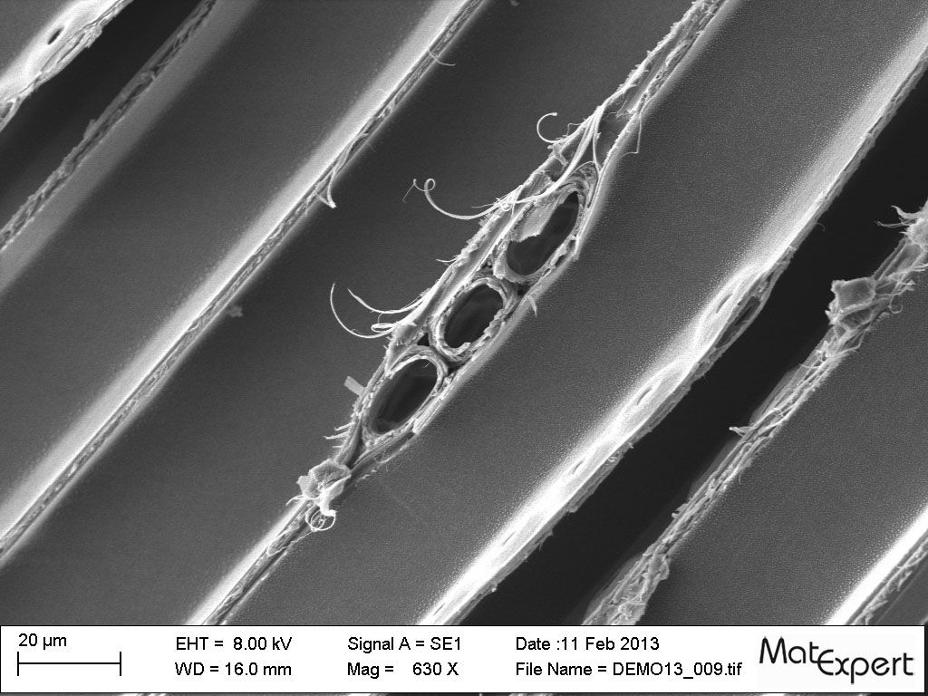 Fichte - MatExpert GmbH