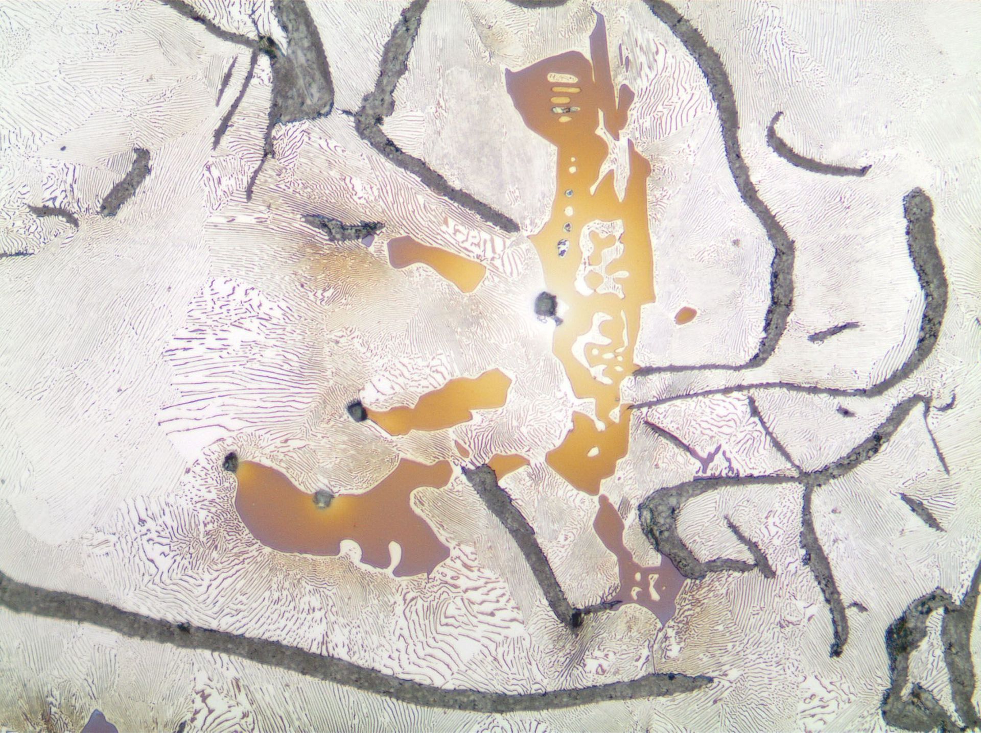 Expertise - MatExpert GmbH