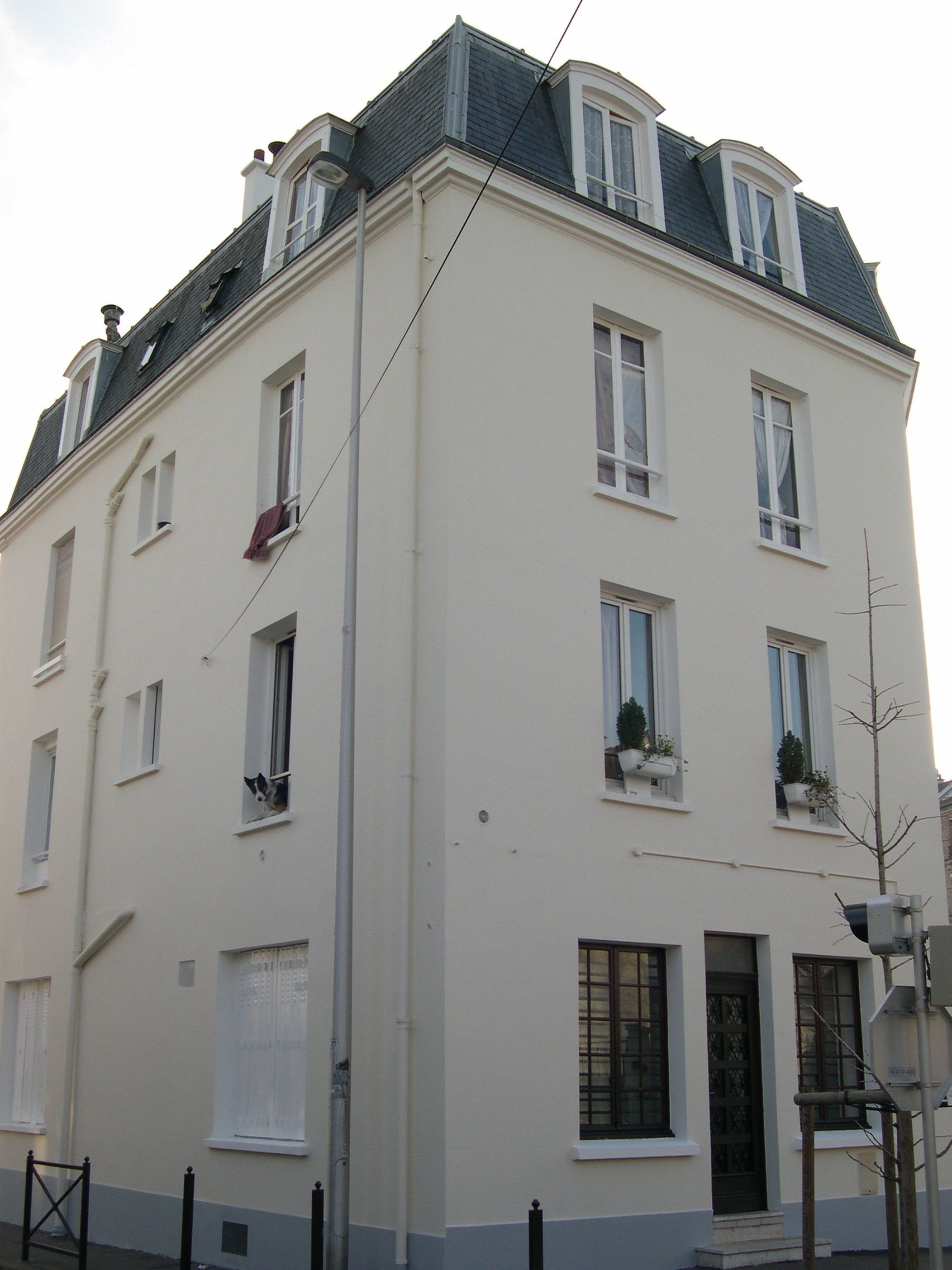 Façade immeuble chien