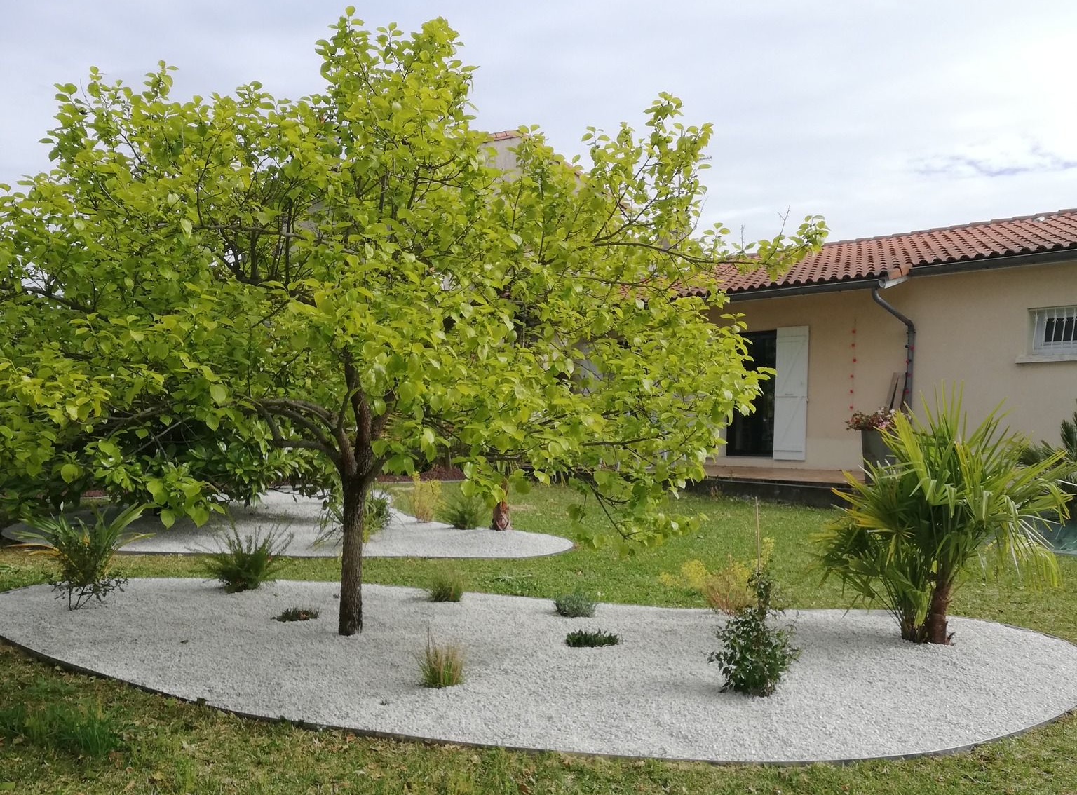Un arbre vert et un palmier plantés dans des parterres de gravier blanc, au milieu d'une pelouse, jouxtent une maison claire au toit de tuiles.