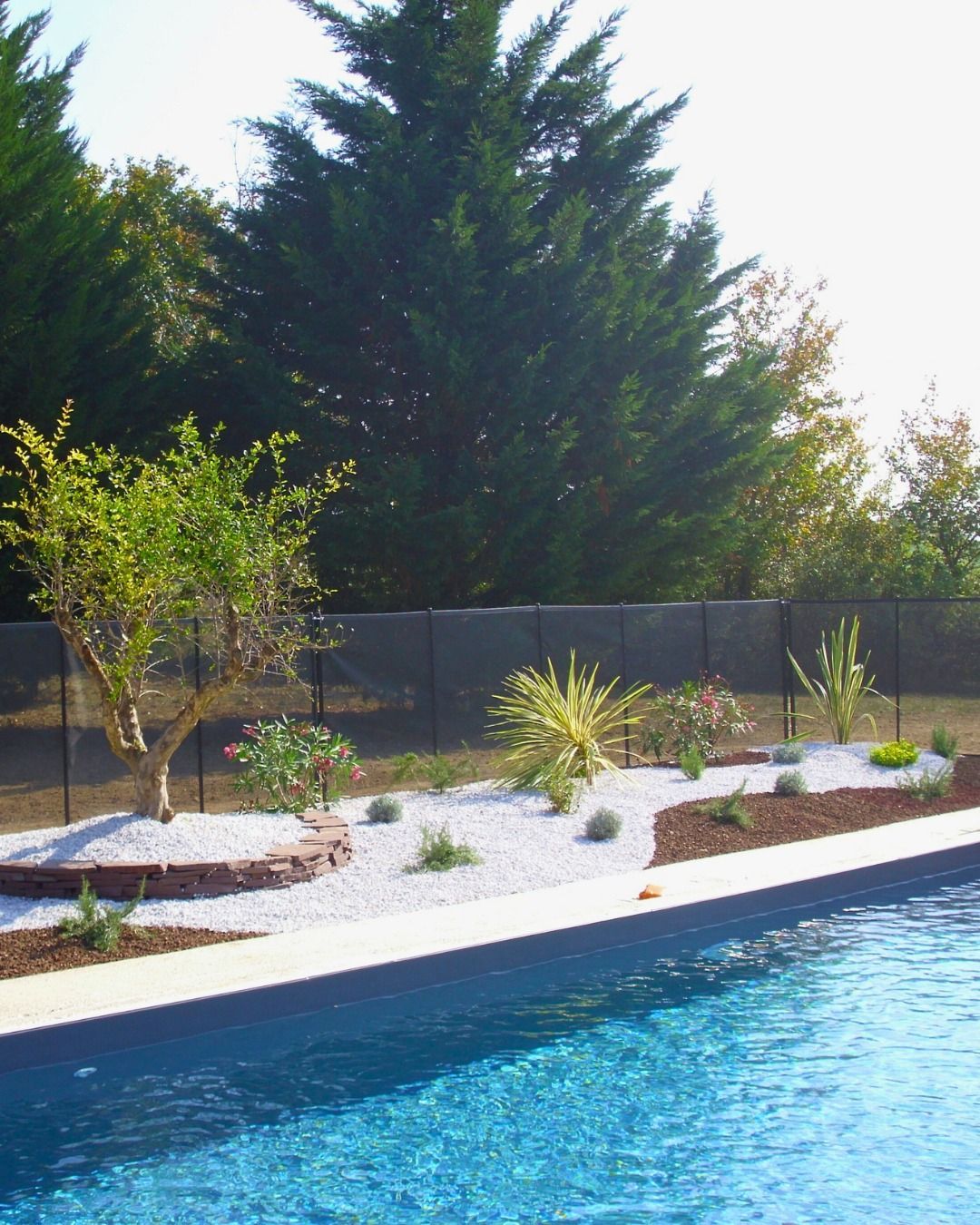 Une piscine à l'eau bleue se trouve à côté d'un parterre de jardin rempli de gravier blanc, de petits arbustes et d'un arbre près d'une clôture.