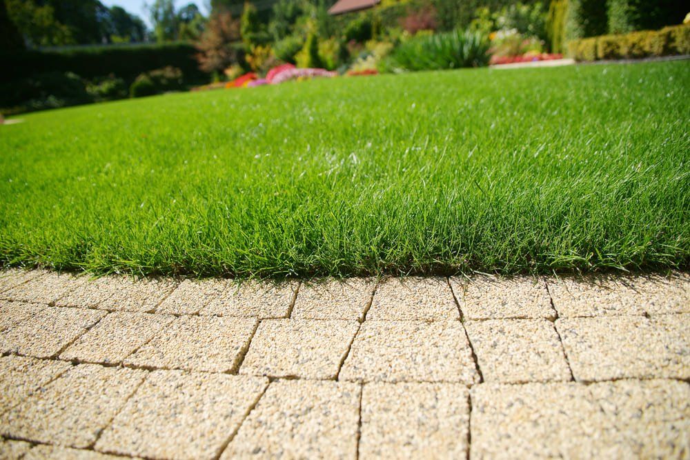 Gros plan sur la surface drainante de l'allée en pavés