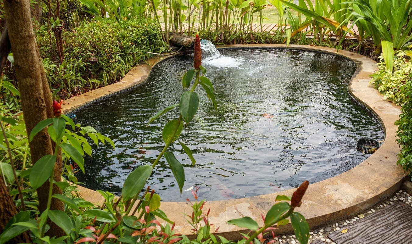 Bassin naturel avec cascade