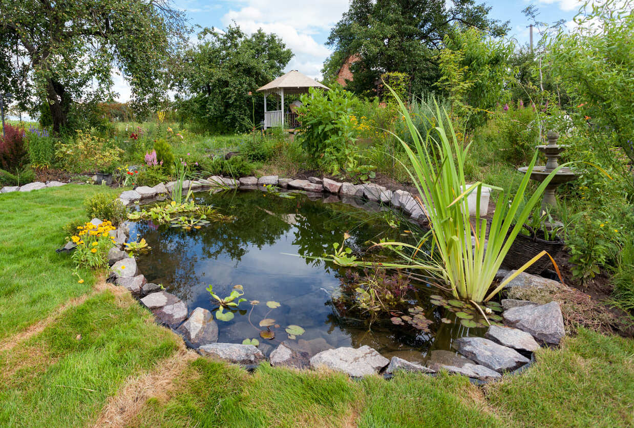 Bassin aquatique creusé