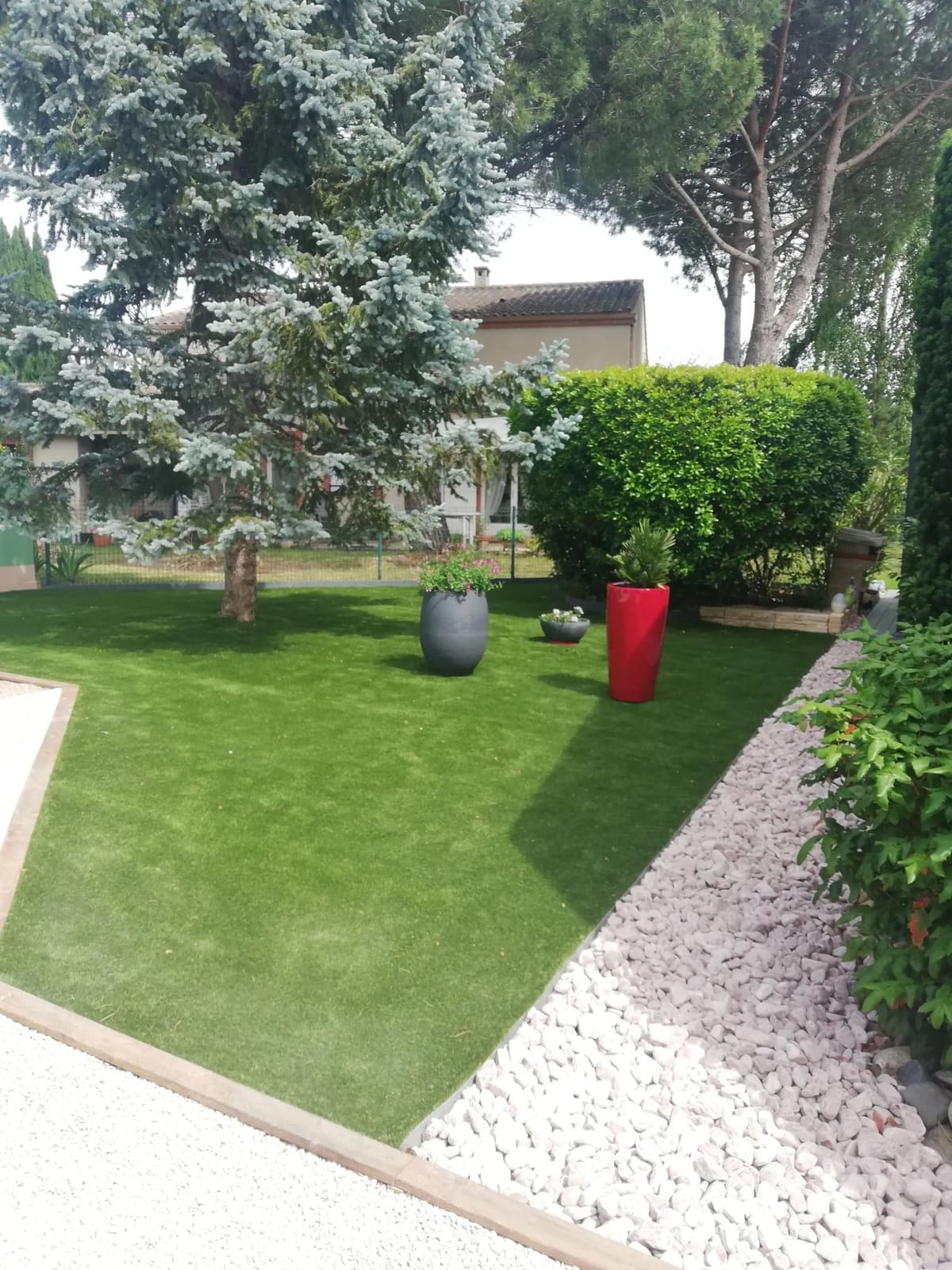 Pelouse fraîchement tondue et arbres taillés