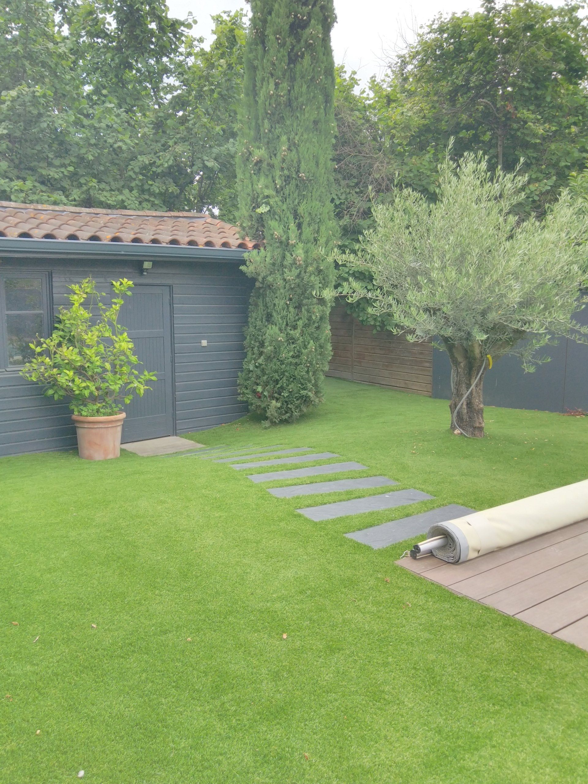 Un jardin à l'arrière avec une pelouse verte, un abri de jardin sombre, un chemin de pierre, un citronnier en pot, un grand cyprès et un olivier.